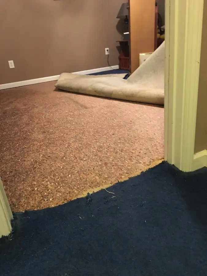 Carpet pad removal revealing water damage during Water Mitigation Services in Clute