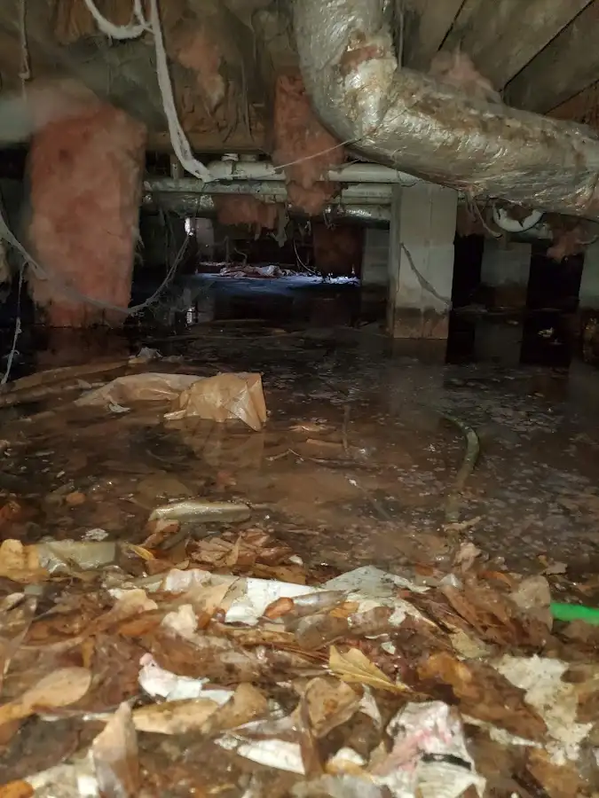 Crawl space flood assessment for Leak Detection & Repair in Clute