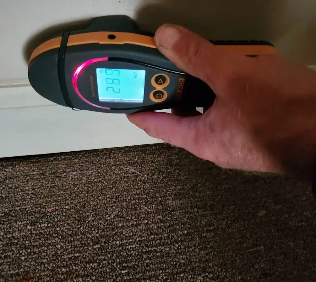 Moisture detection at baseboard during Mold Inspection & Testing in Clute